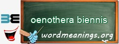 WordMeaning blackboard for oenothera biennis